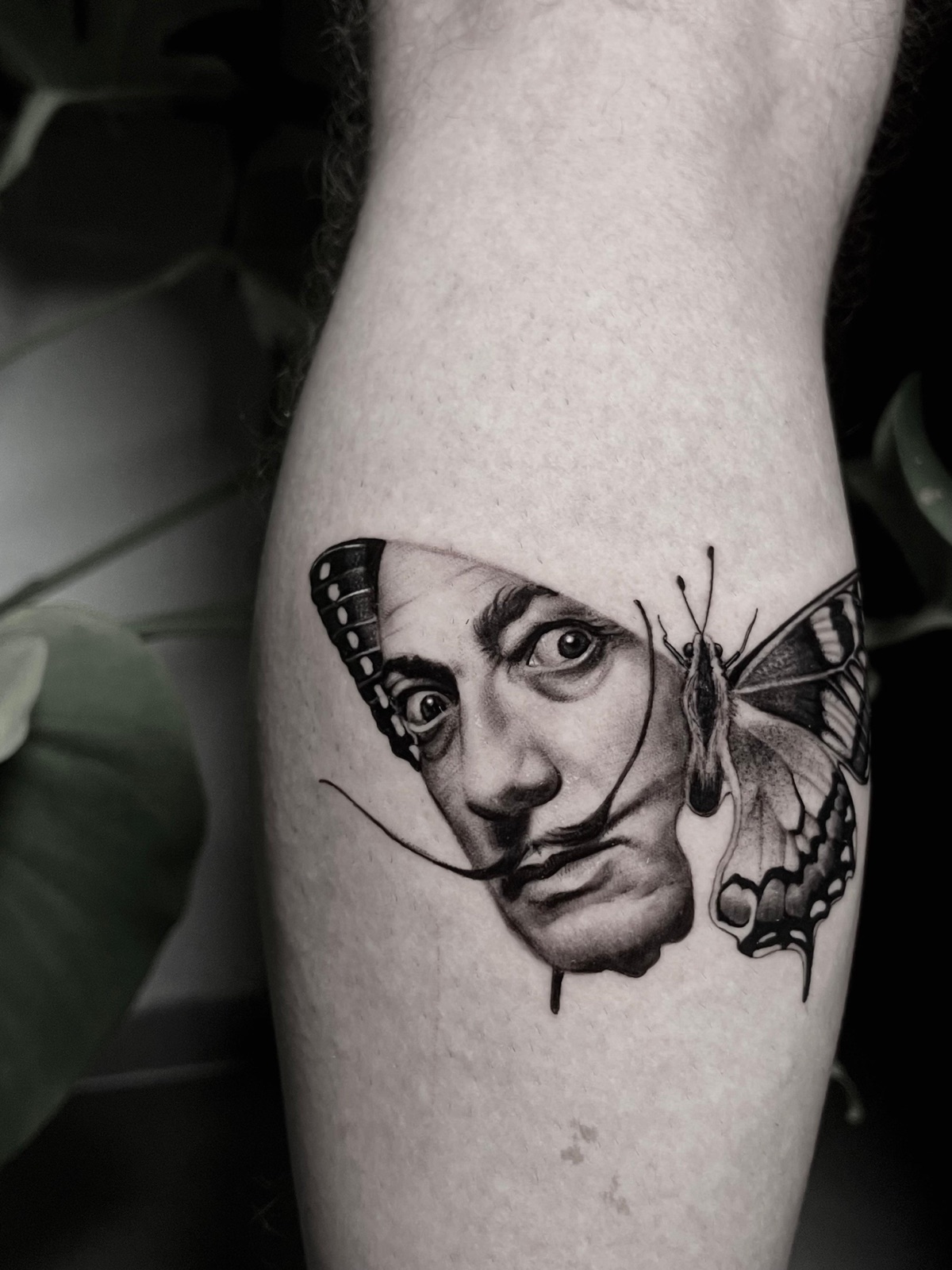 Surreal Metamorphosis
