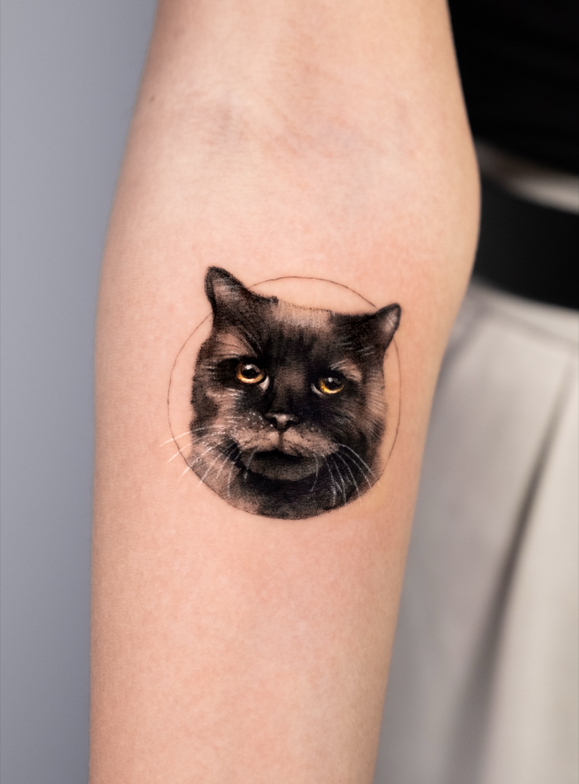The Black Cat
